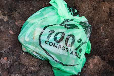 Ano ang mga biodegradable na bag?