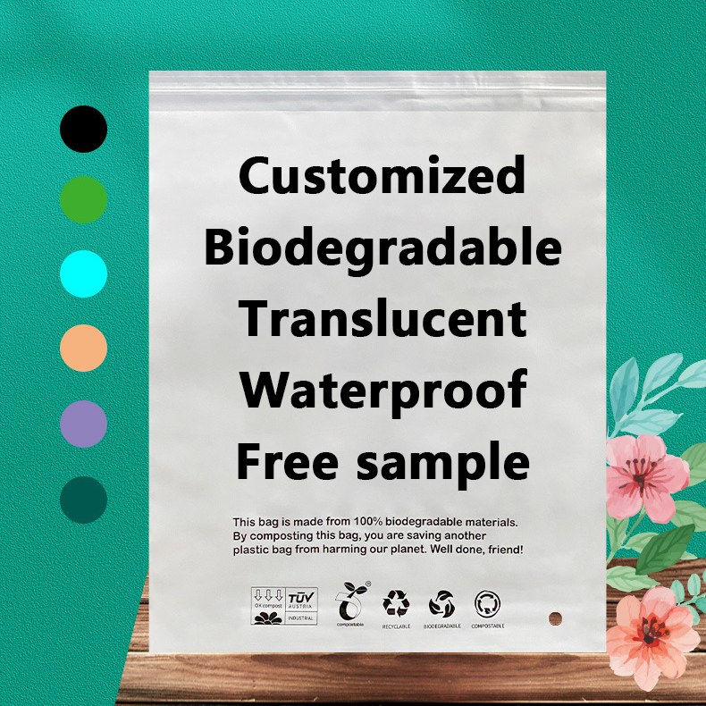 Inilunsad ng Zeal X ang High-Performance PLA PBAT Biodegradable Bags para sa Sustainable Packaging Solutions sa buong mundo