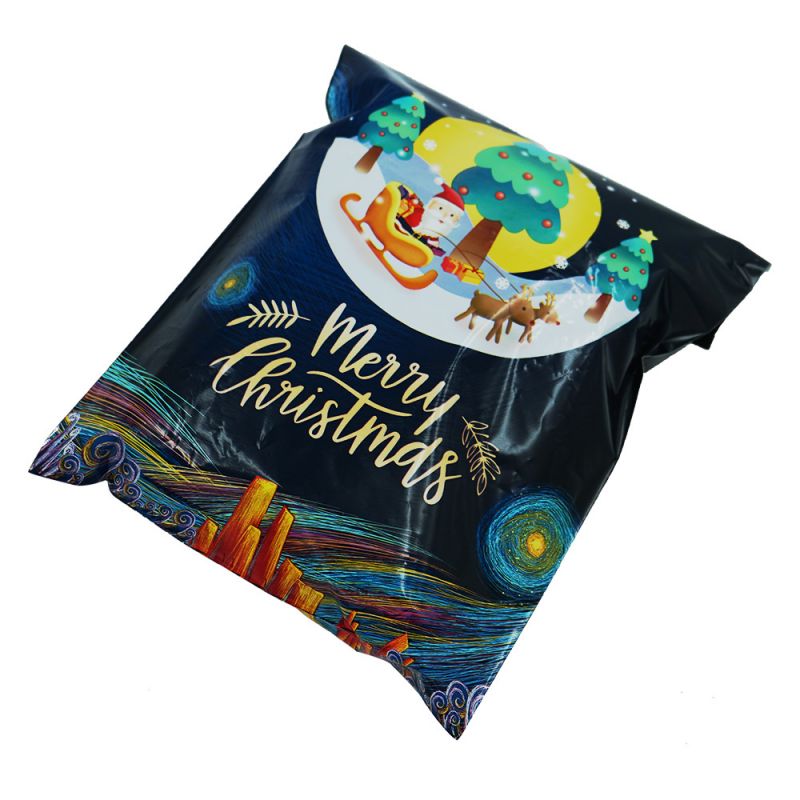 Christmas express bag