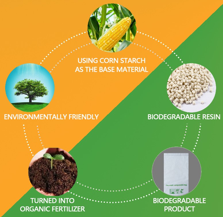 Biodegradable Mailer Bags